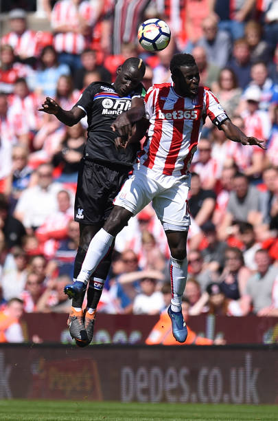 坪适应能力 坪适应能力