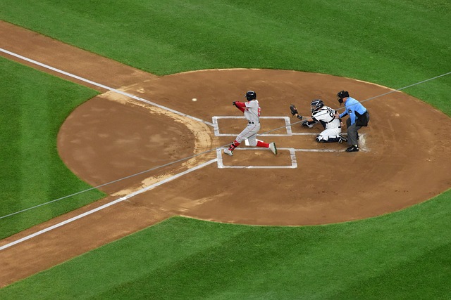 冬会参赛史 冬会参赛史